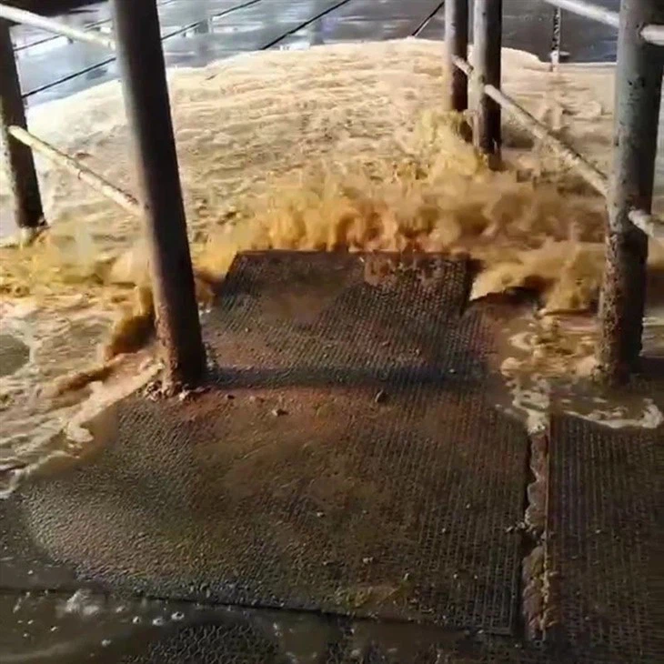 Parlour Backflush System